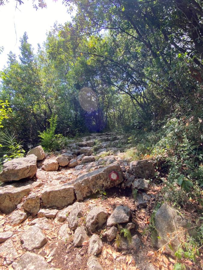Adria Sea&Mountains Apartment Herceg Novi Bagian luar foto